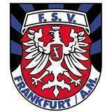 FSV˸